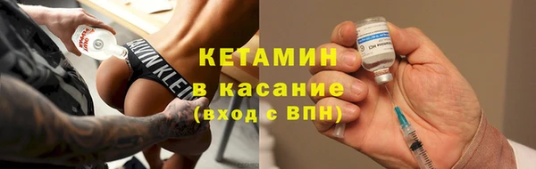 шишки Горняк