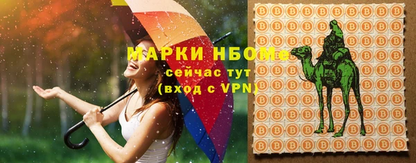 шишки Горняк