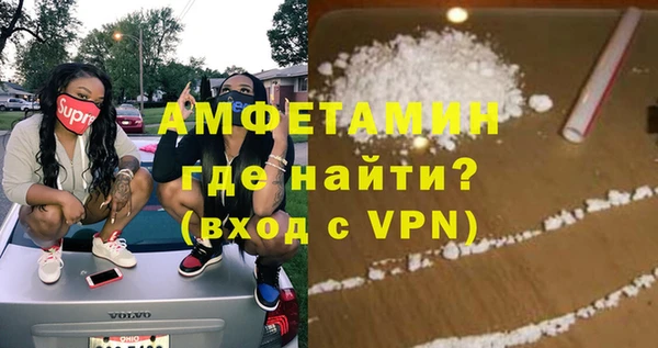 шишки Горняк