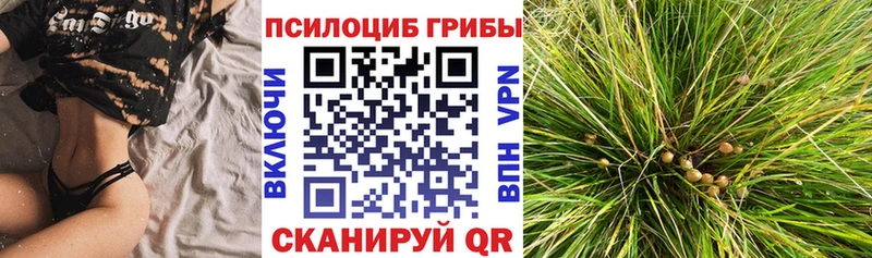 Псилоцибиновые грибы Cubensis  наркотики  Дудинка 